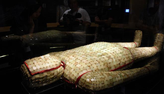 �����ʷ����ݾٰ조����ʢ����չ��