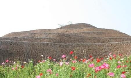 �Ĵ����Ƕ���������ӷ���30���꣺����ͨ�˿�������ַ