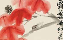 �黭�ղ� ���ö��������мң�