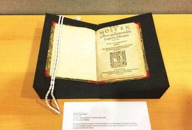 ��Ӣͼ��ݾ���ݲ����й� ��ɯʿ����Ψһ�ָ�