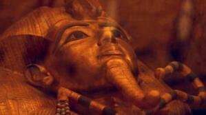 �ƿ����ڰ�������4000��ǰ��ʨ�������� ��5��