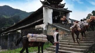 ����������Խ������ �ػ������ŵ��Ļ�