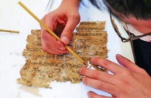 �����ִ�䡷���黹���֡������ع�