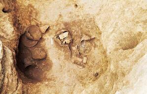 ����������ַ�����ܴ�����������