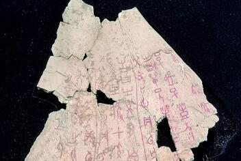 ���ҵĳ��������������ĺ����ں�